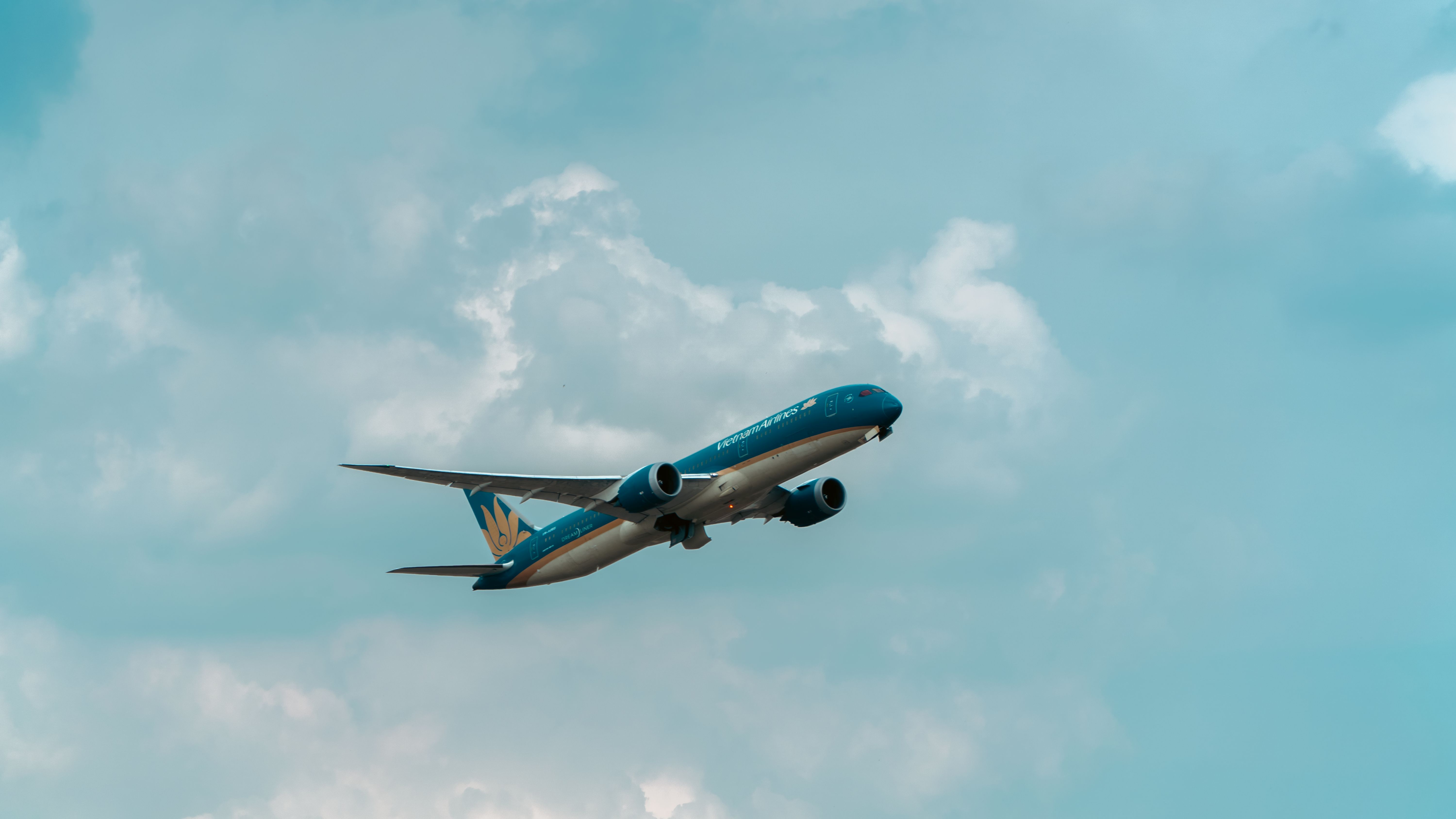 Domestic Flights